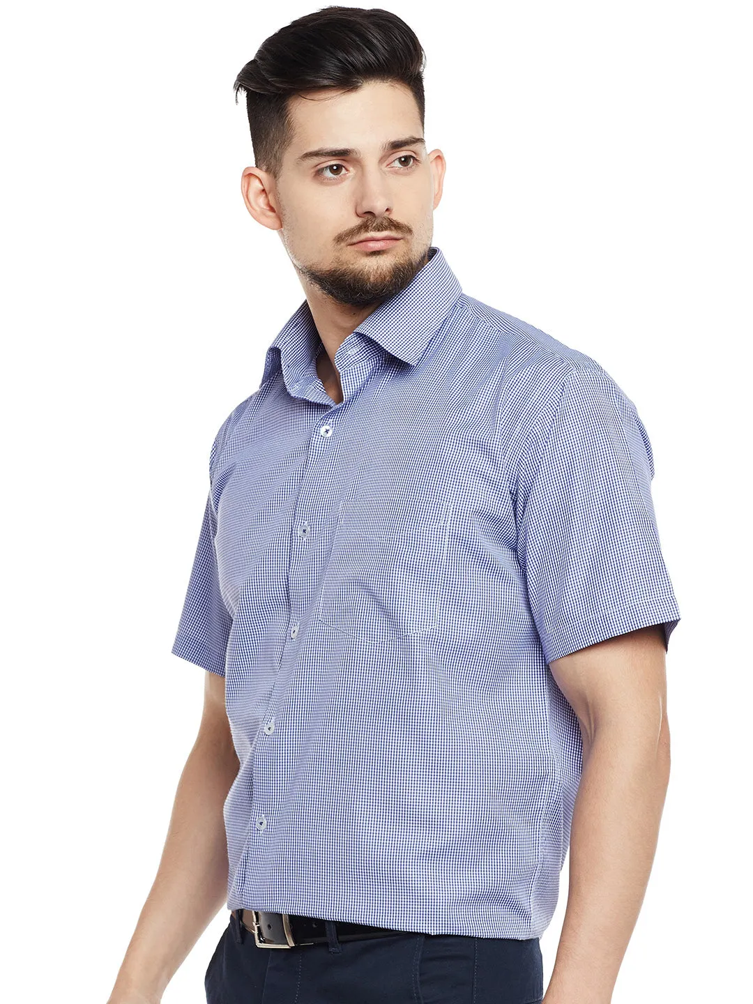 Men Blue & White Checked Regular Fit Formal Shirt