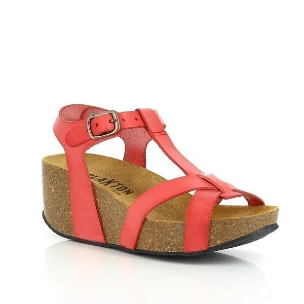 Plakton 273015 Coral Wedges