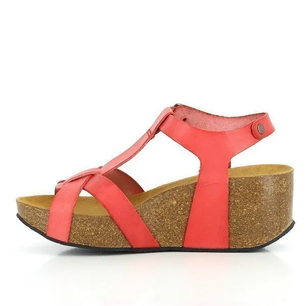 Plakton 273015 Coral Wedges