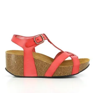 Plakton 273015 Coral Wedges