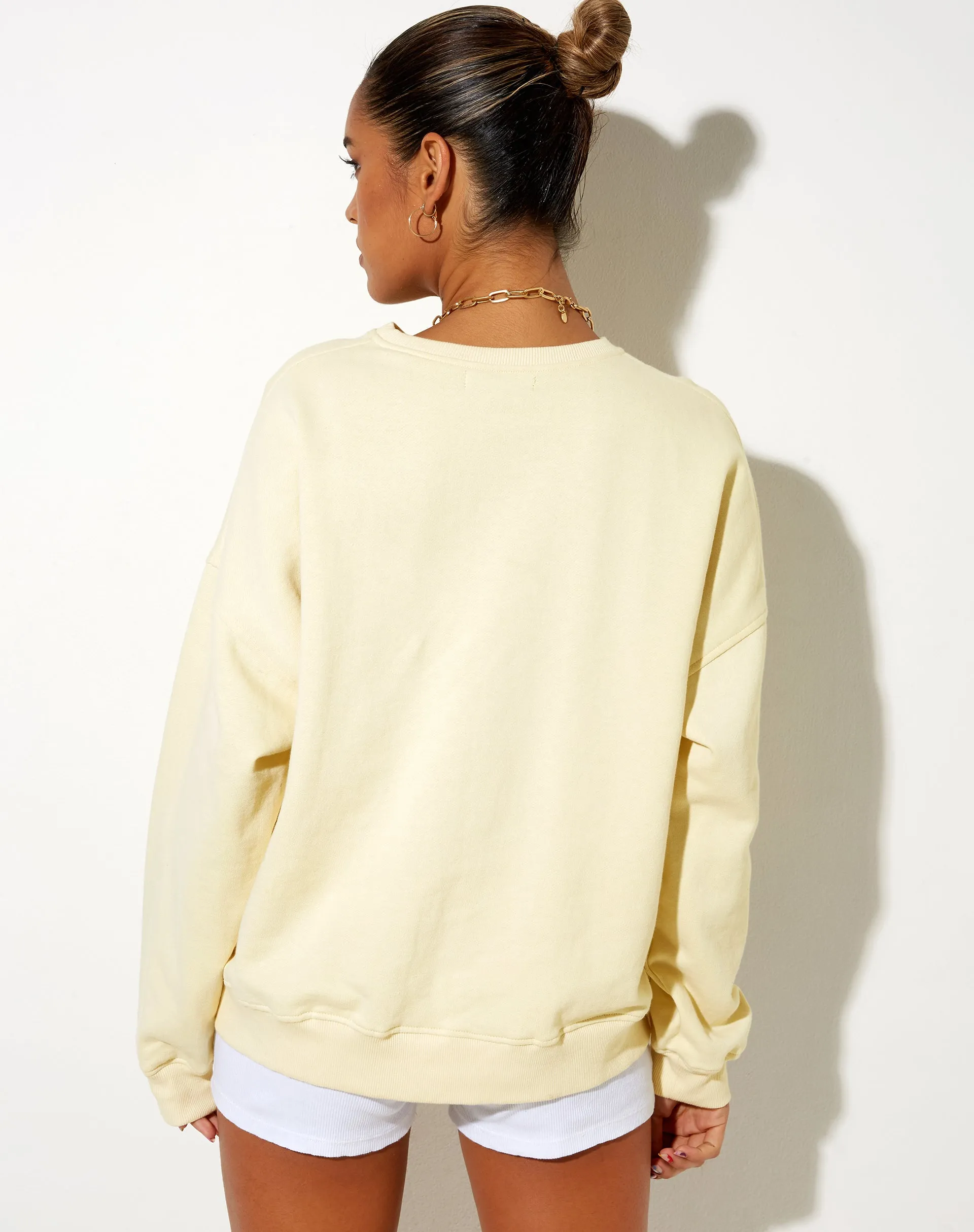 Ted Sweatshirt in Buttercream Vacay Embro